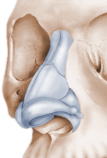 rhinoplastie